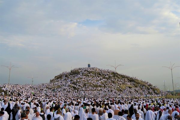 the-crowd-4399822_1280